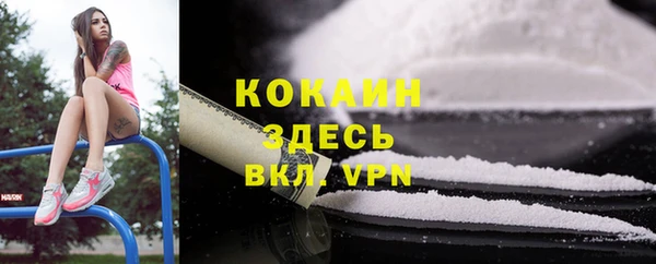 не бодяженный Алексин